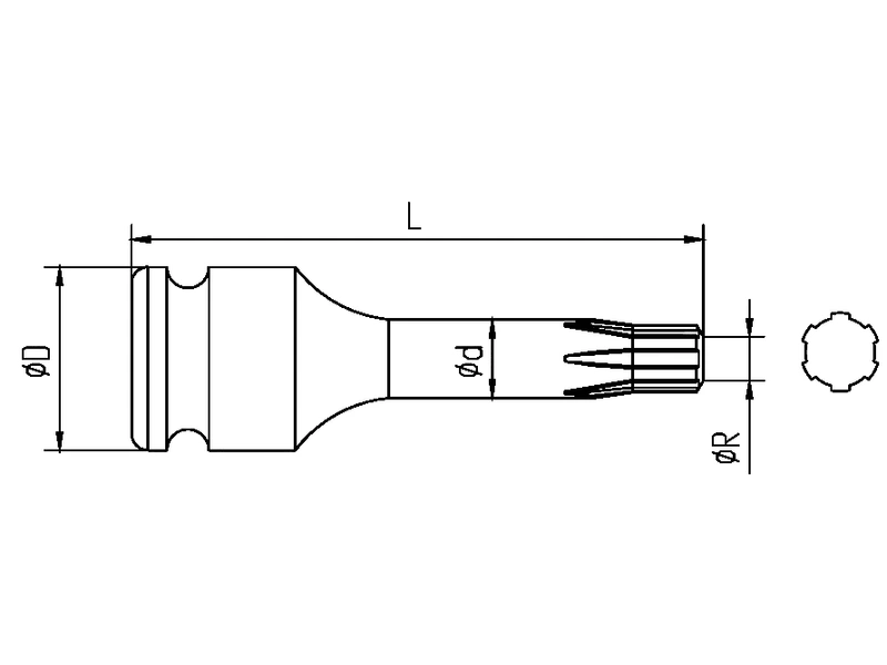 RT Ribe bit socket drawing with end profile and dimension arrows