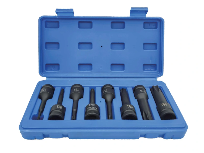 Torx bit sockets arranged in an open blue case